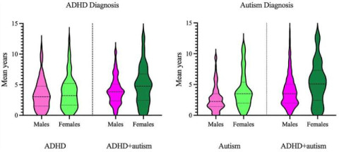 Delay to ADHD and autism diagnosis for males and females with ADHD, autism and ADHD + autism. Credit: Australian & New Zealand Journal of Psychiatry (2023). DOI: 10.1177/00048674231206997