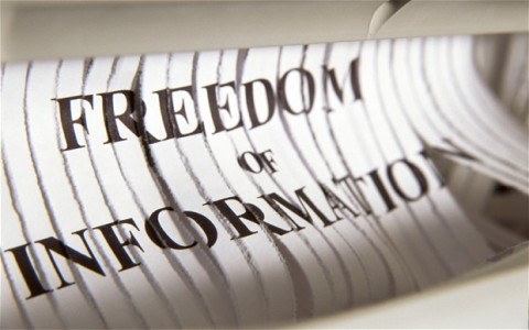 paper with"Freedom of Information" on it ... being shredded