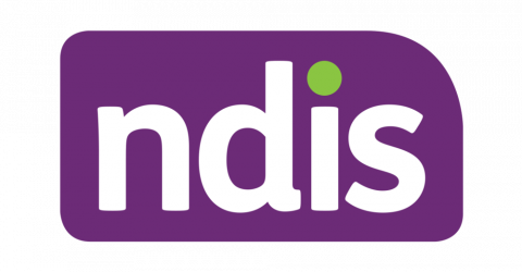 NDIS logo - just the letters